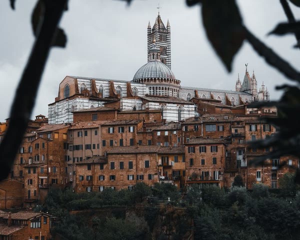 锡耶纳大教堂